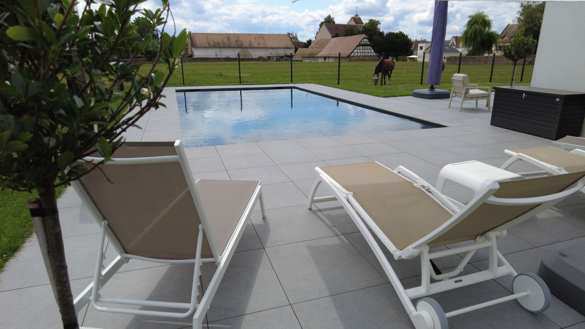 Piscine avec vue sur un terrain avec un cheval.