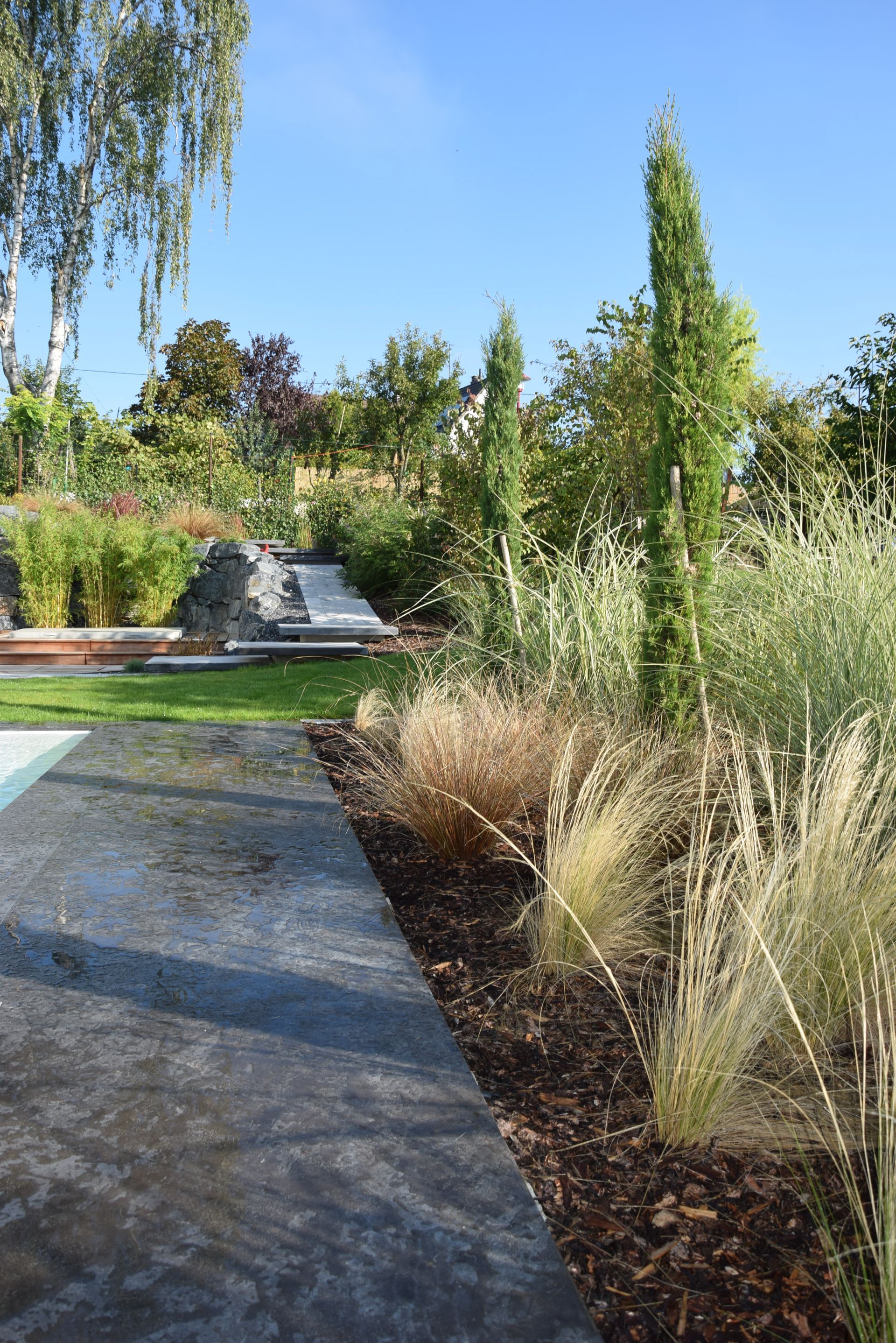 Massifs de végétaux et arbres dans un grand jardin aménagé et à proximité d'une piscine.