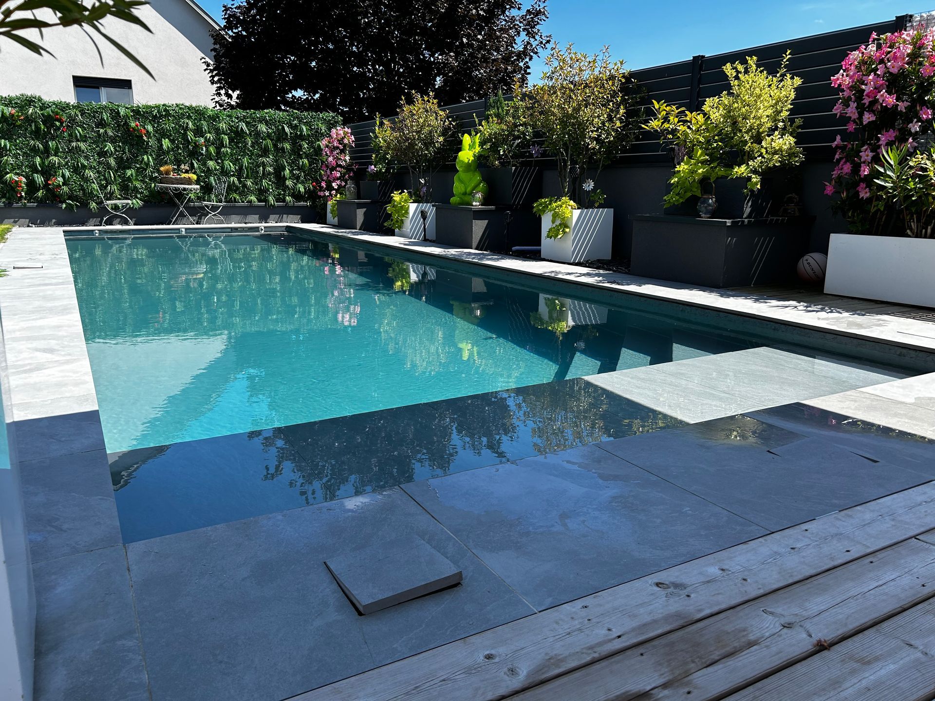 Piscine urbaine avec haie végétale et décorations.