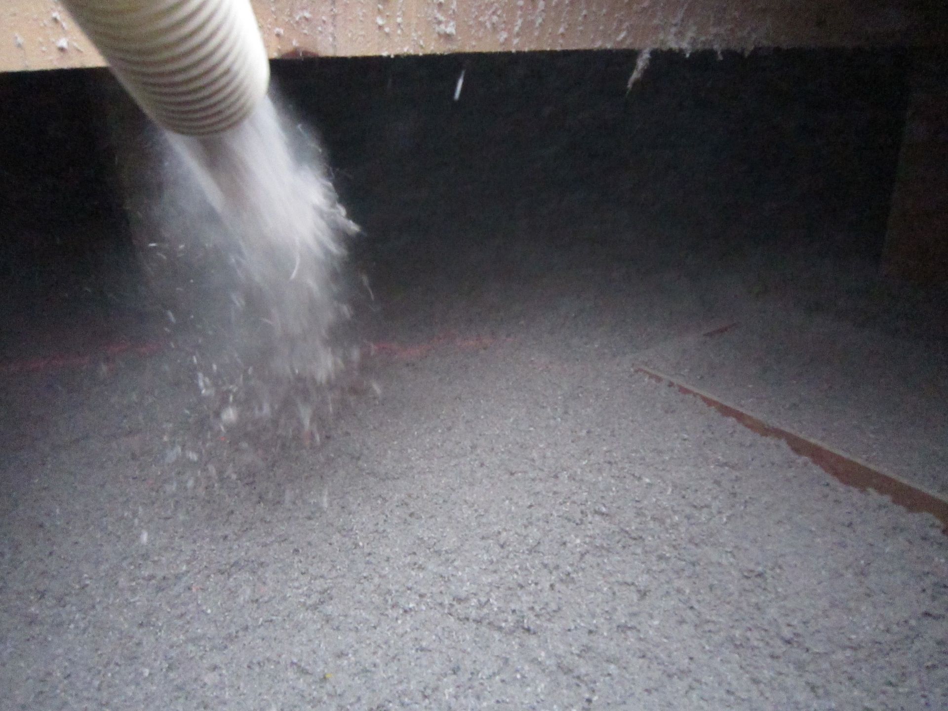 Un tuyau pulvérise de l'isolant cellulosique dans un grenier, recouvrant le sol d'un matériau gris clair.