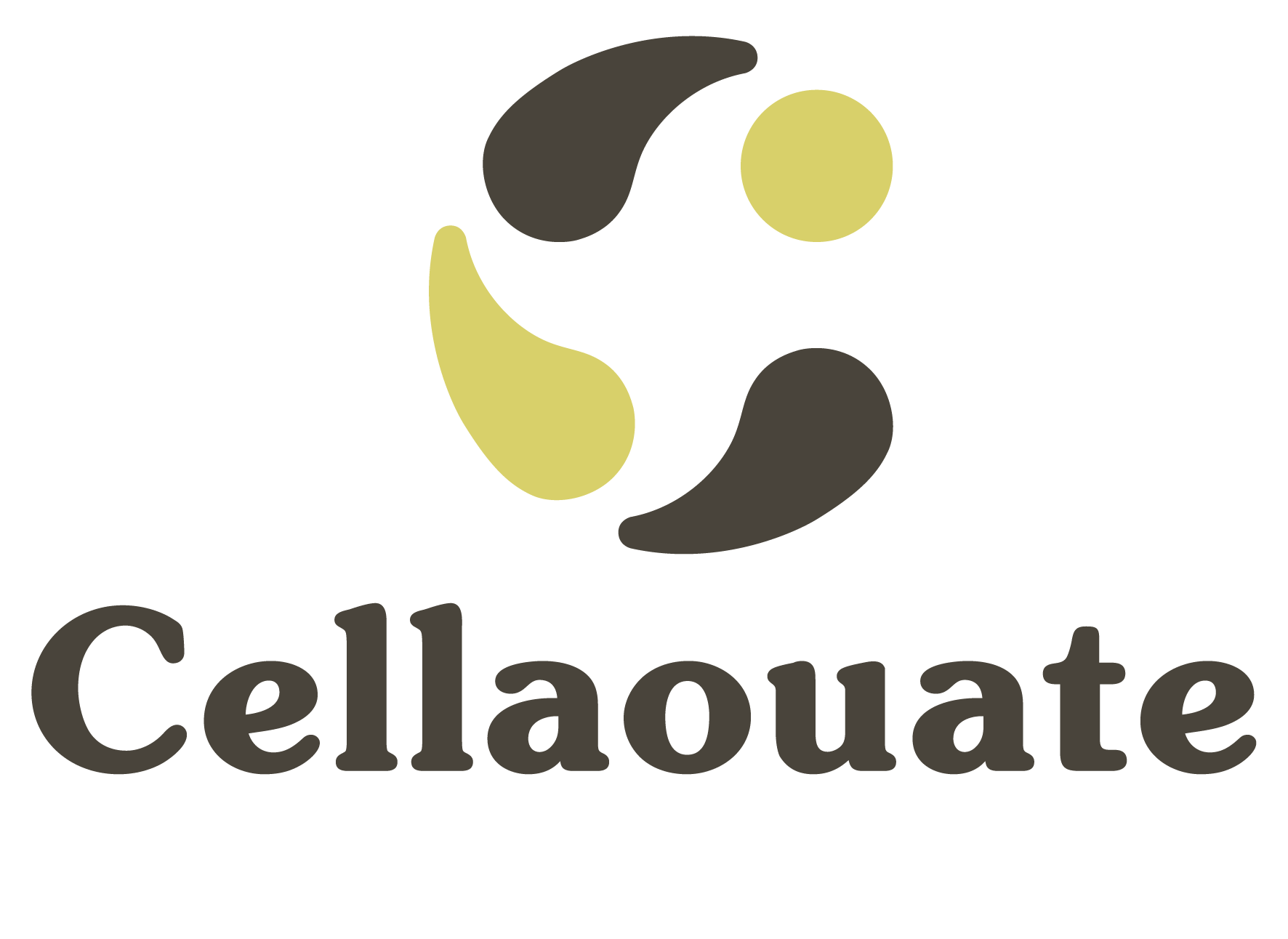 Cellaouate - isolant ouate de cellulose