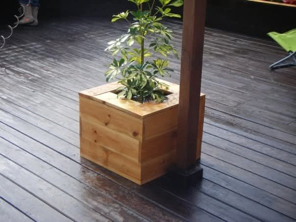 Macetero de madera con una pequeña planta verde sobre una terraza oscura, junto a un poste vertical.