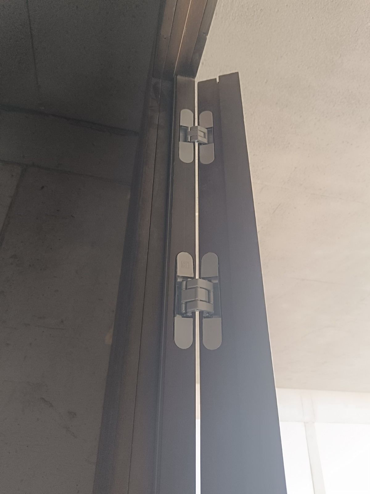 Primer plano de una bisagra y marco de puerta con molduras oscuras y luz brillante al fondo.