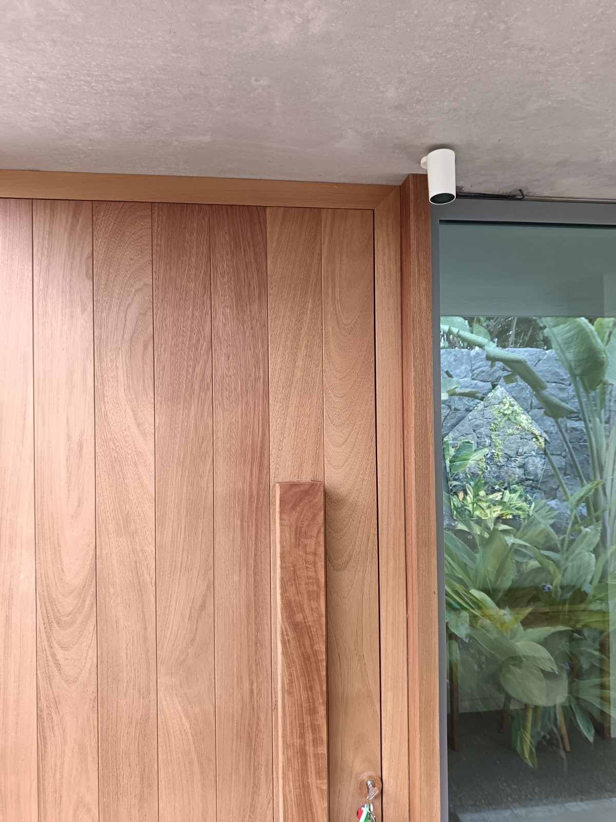 Puerta corredera de madera junto a una ventana, con plantas de interior visibles a través del cristal.