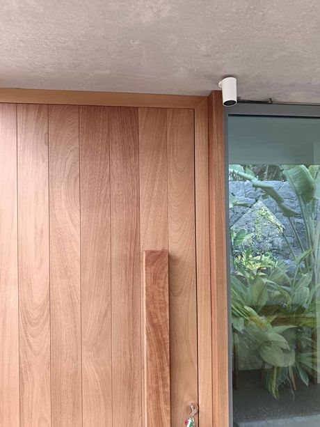 Puerta de madera junto a un panel de vidrio que deja ver exuberantes plantas verdes en el exterior, con una barra de cortina blanca encima.