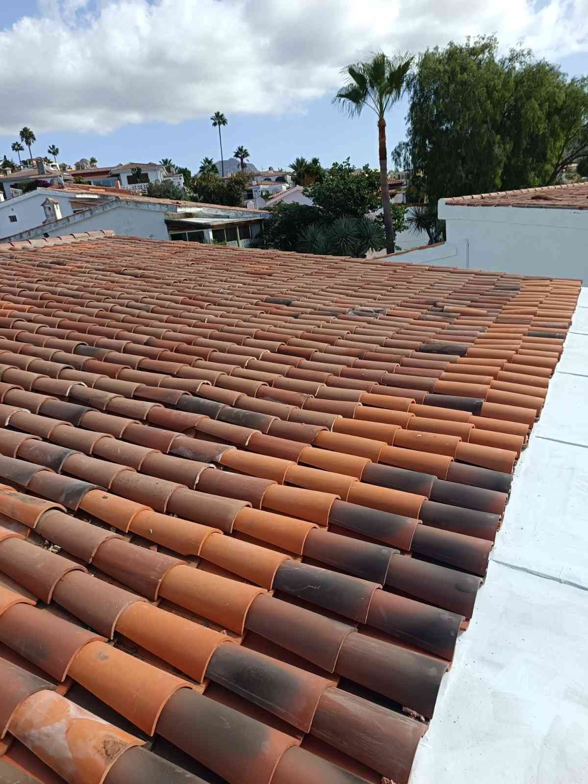 Techo de tejas de terracota con parapeto blanco, palmeras y el horizonte de un barrio costero a lo lejos.