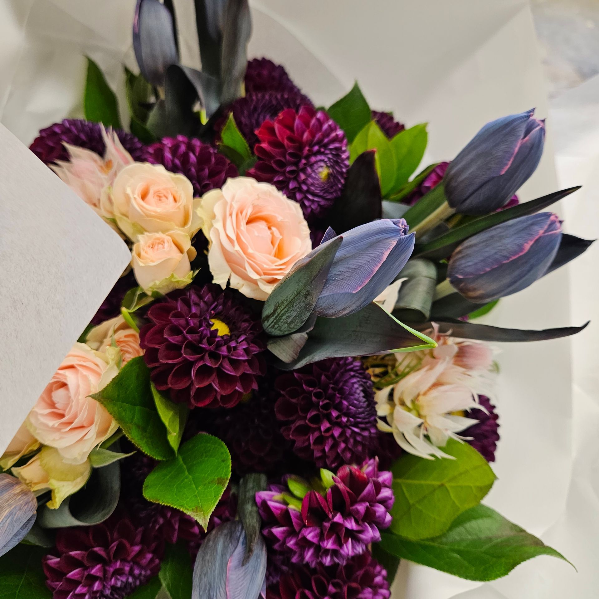 Bouquet de roses rose pâle, de dahlias violet foncé et de feuilles vertes enveloppé dans du papier blanc