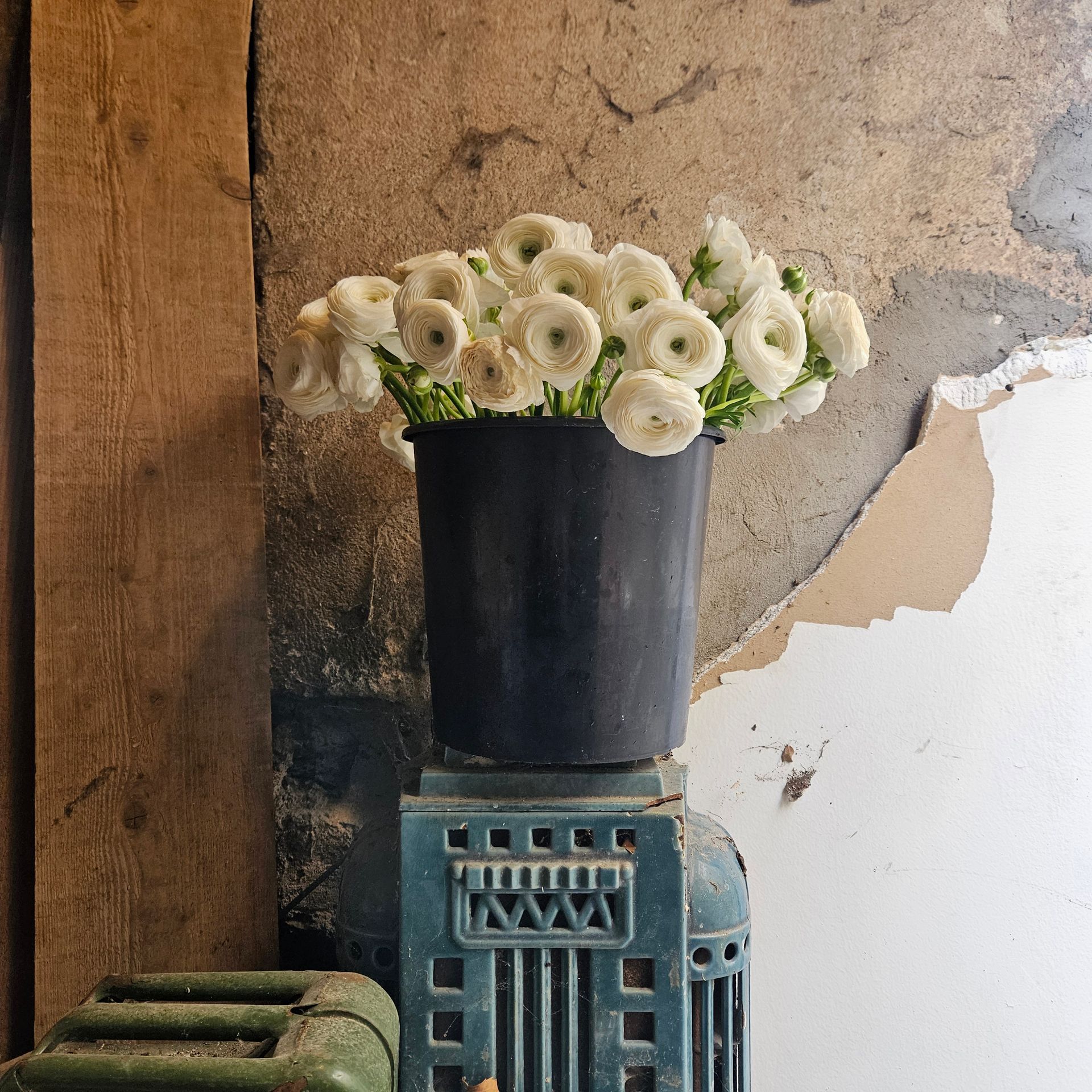 Des fleurs blanches dans un vase noir sur un tabouret bleu contre un mur patiné