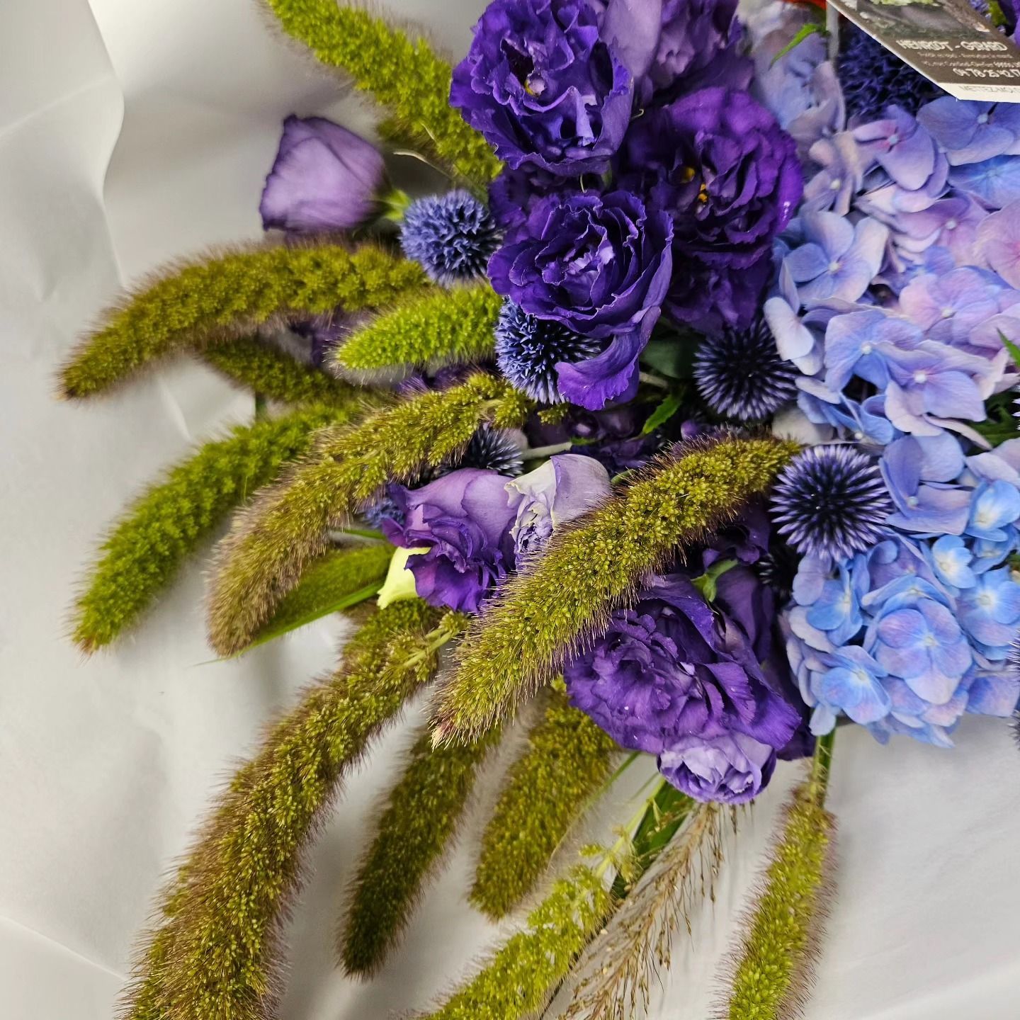 Bouquet de fleurs violettes et bleues avec des capsules de graines vertes sur fond blanc