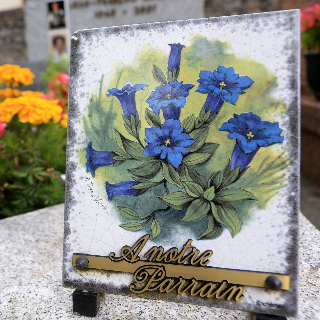 Plaque commémorative blanche ornée de fleurs bleues et portant l'inscription Amore Barrain dans un jardin de cimetière