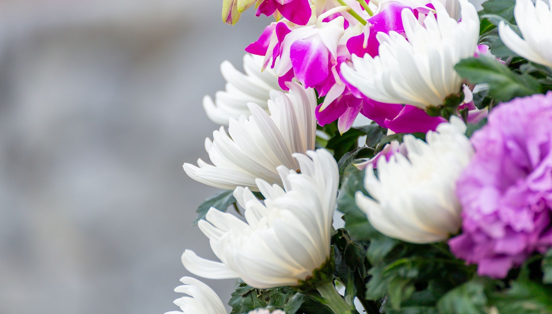 Un bouquet de fleurs blanches et violettes sur un fond gris clair