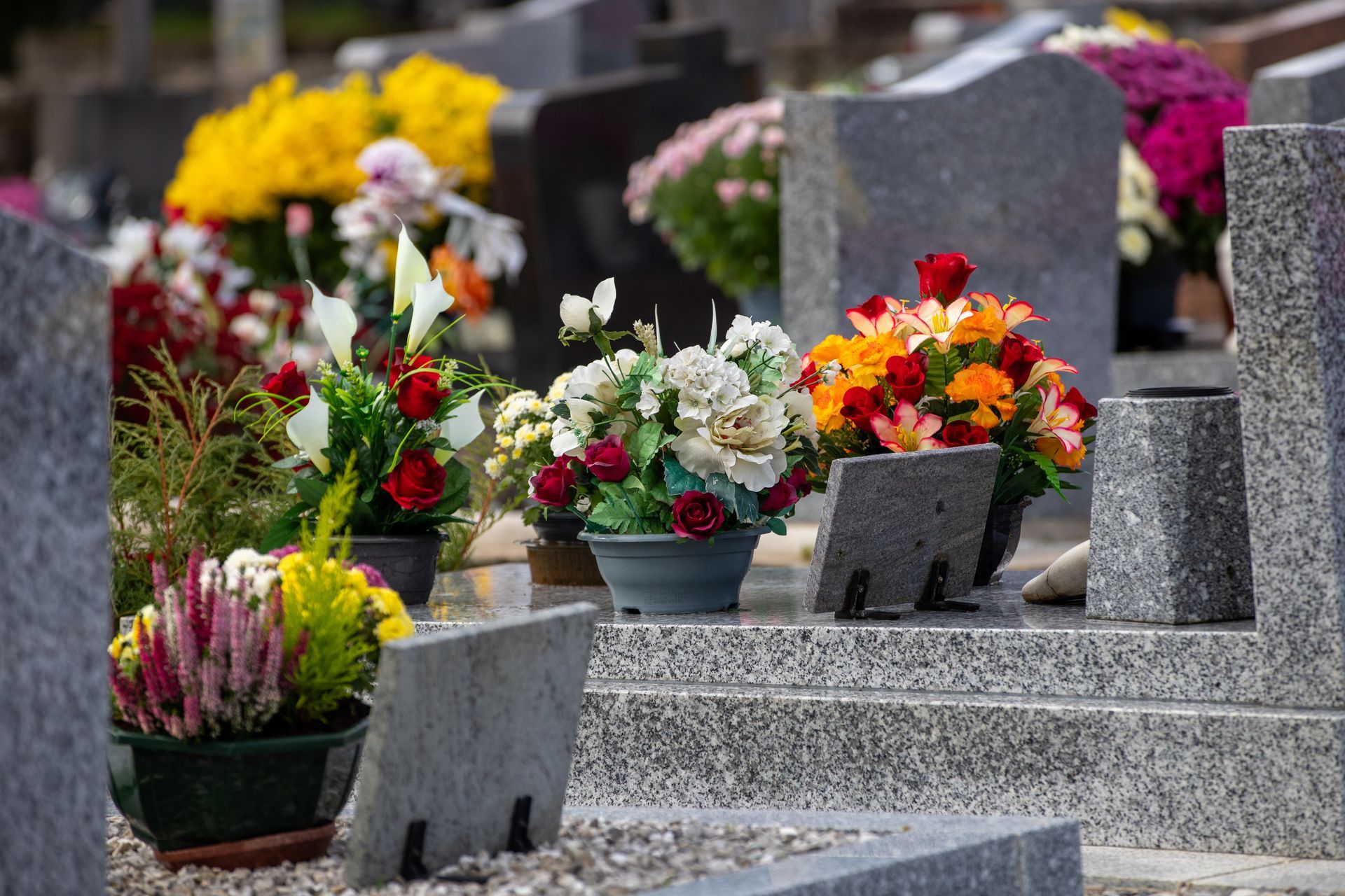Des compositions florales colorées ornent les tombes d'un cimetière, avec des pierres tombales grises en arrière-plan.
