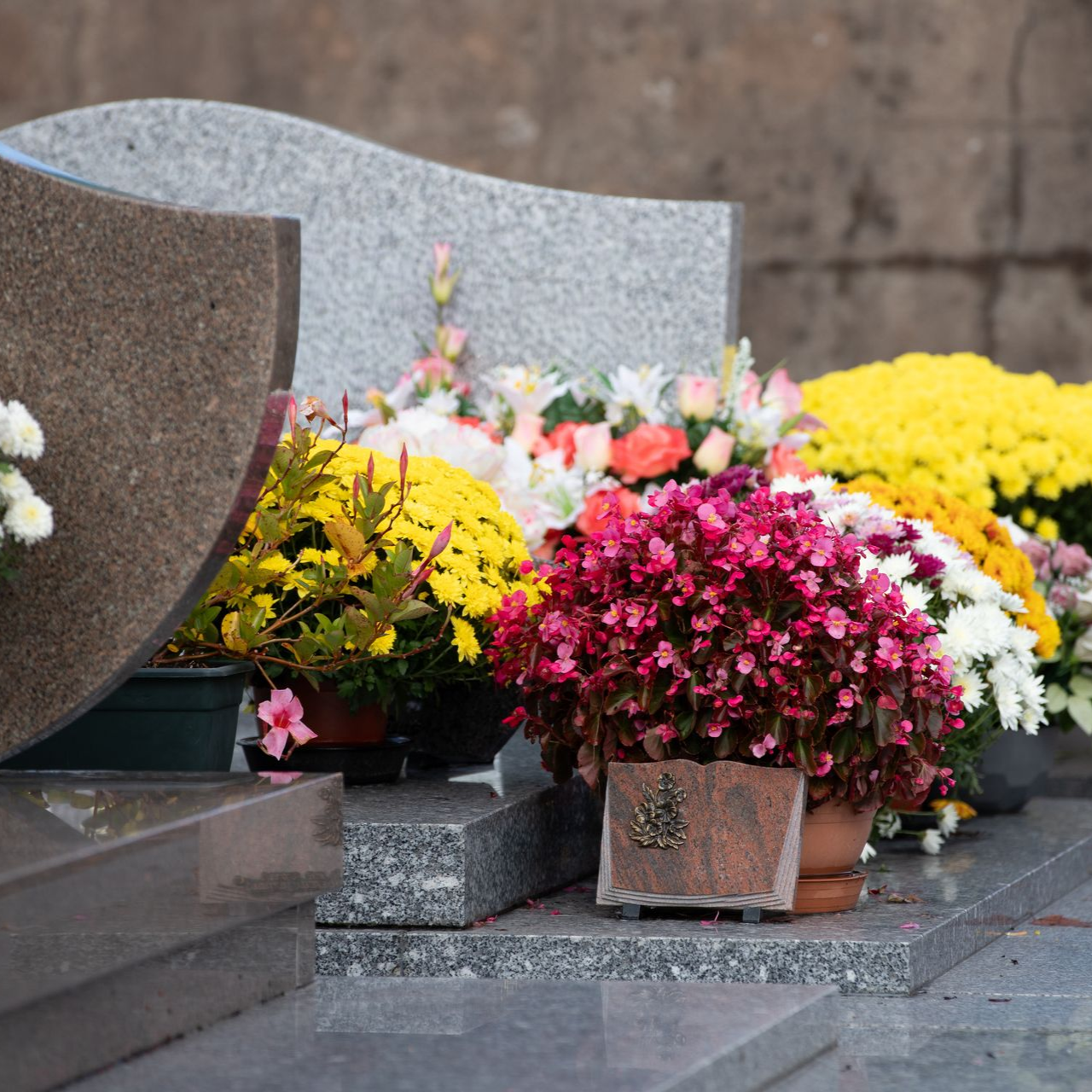 Des fleurs en pot colorées disposées sur une tombe de cimetière, à côté d'une pierre tombale.
