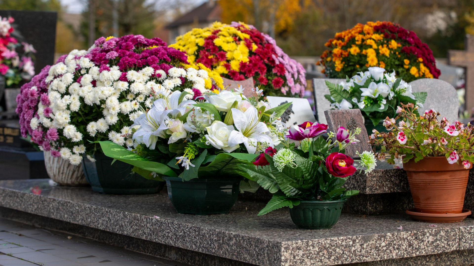 Des bouquets de fleurs roses, blanches et violettes disposés sur une tombe en pierre dans un cimetière