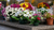 Des bouquets de fleurs roses, blanches et violettes disposés sur une tombe en pierre dans un cimetière