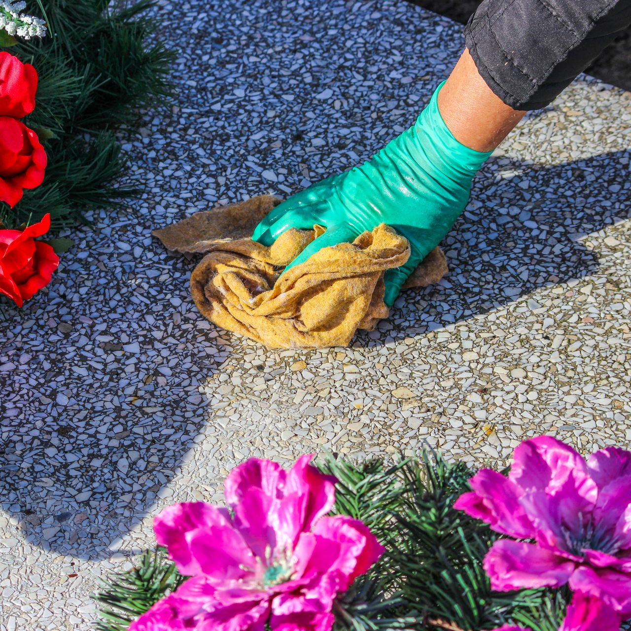 Main gantée nettoyant un chemin de pierres près de fleurs rouges et roses