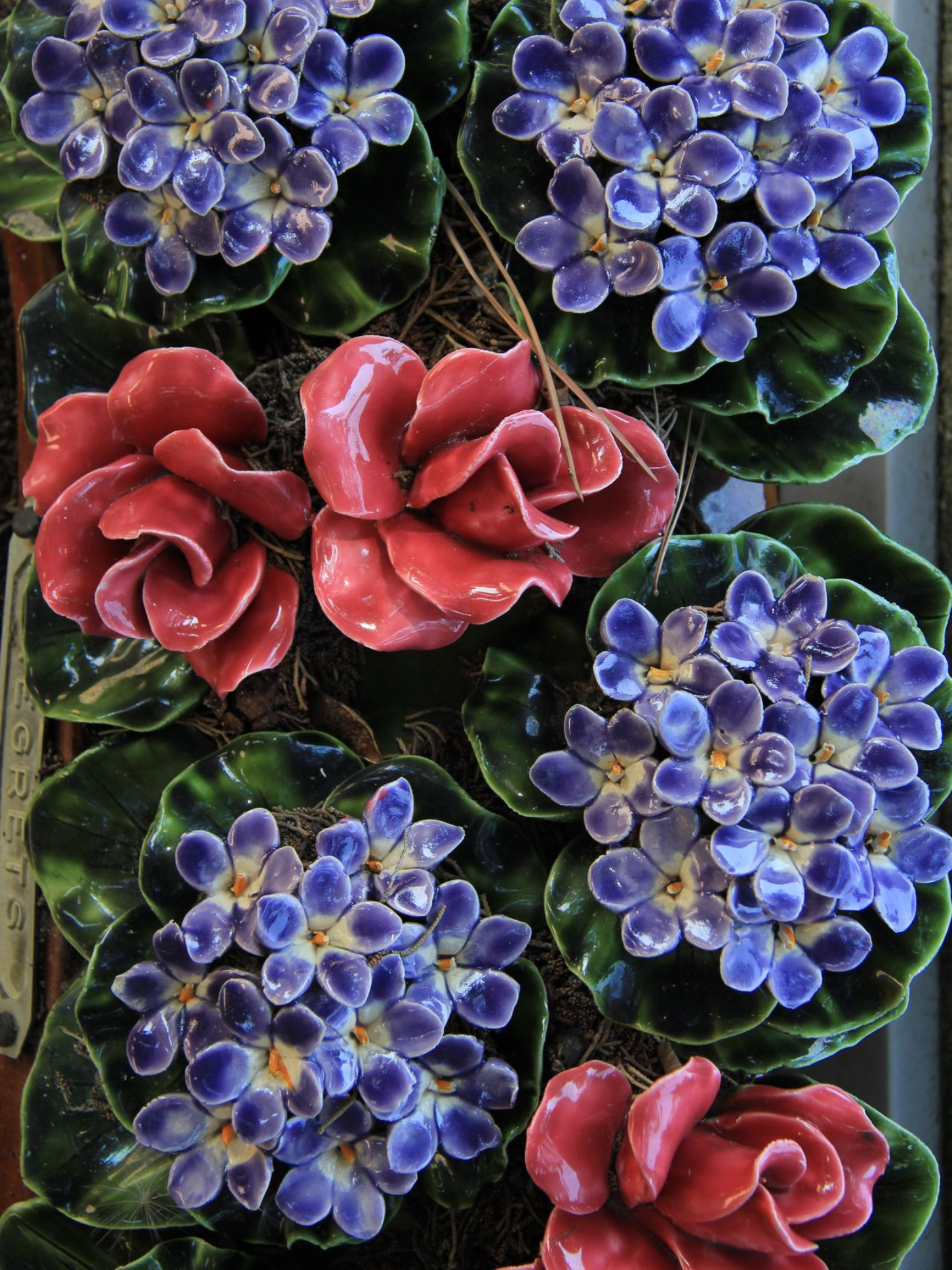 Fleurs bleues et rouges disposées en un motif floral décoratif sur fond sombre