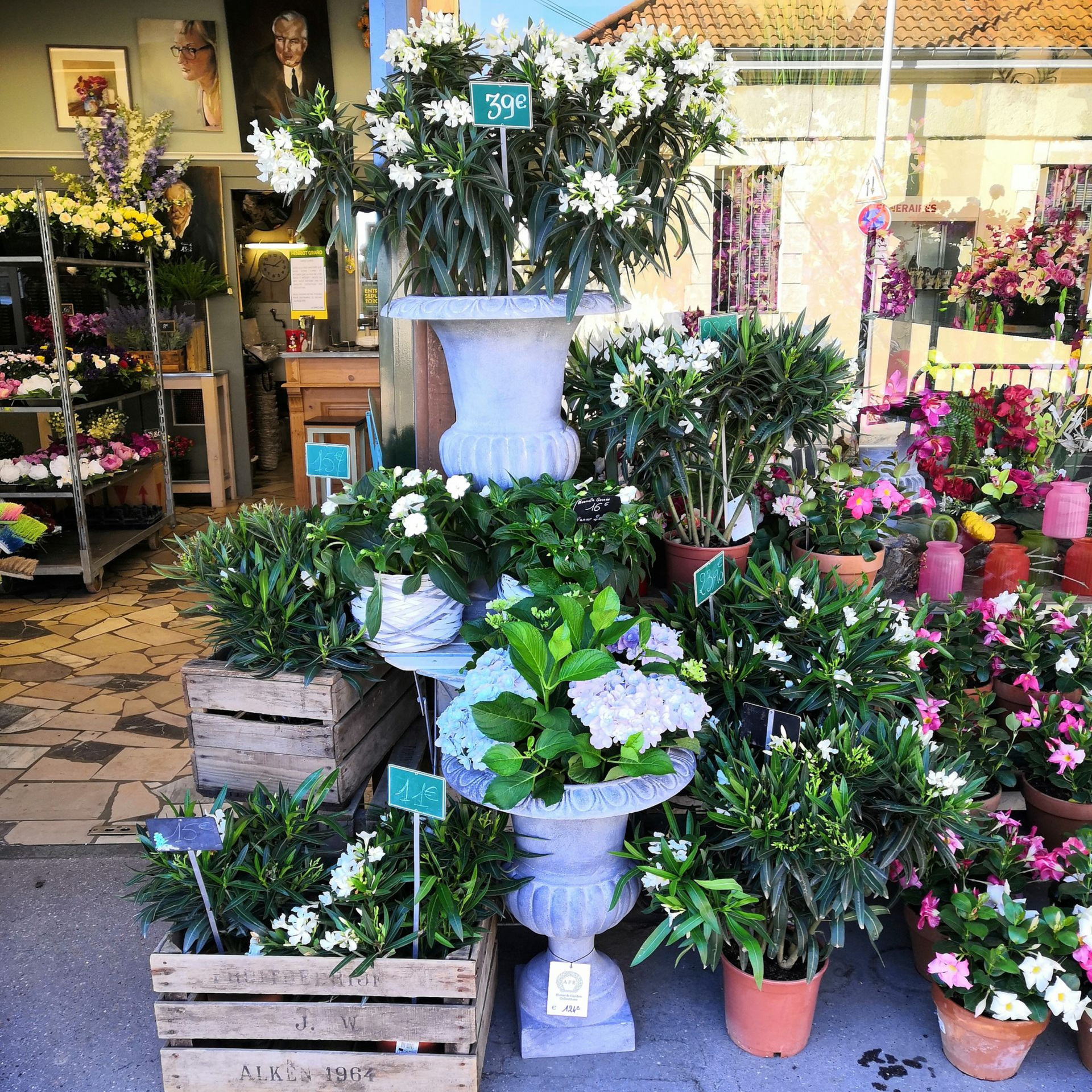 Présentoir de fleuriste avec des fleurs en pot et de la verdure sur des étagères et des caisses