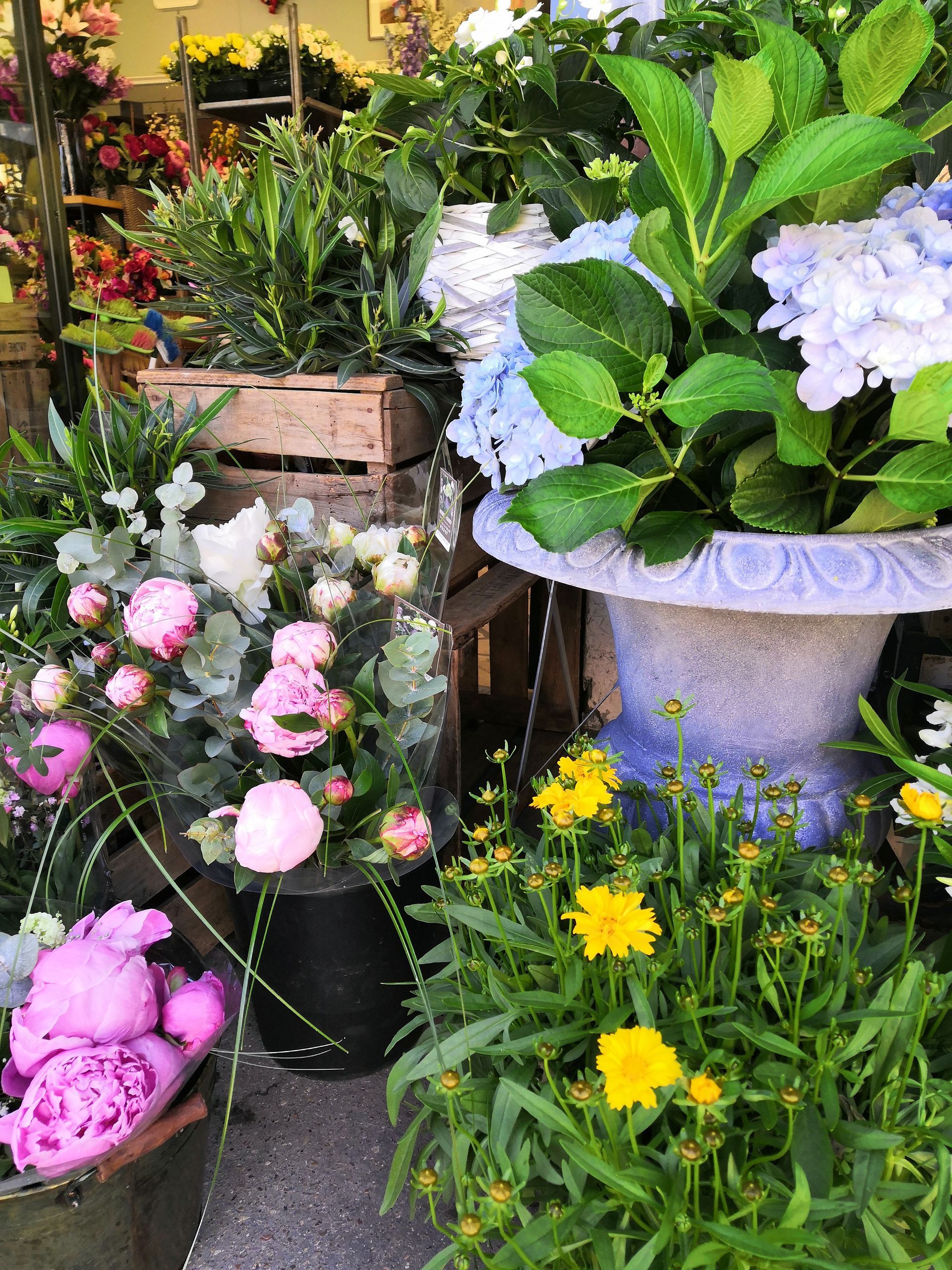 Composition florale avec des fleurs roses, blanches et jaunes dans des pots et des paniers le long d'une allée de jardin