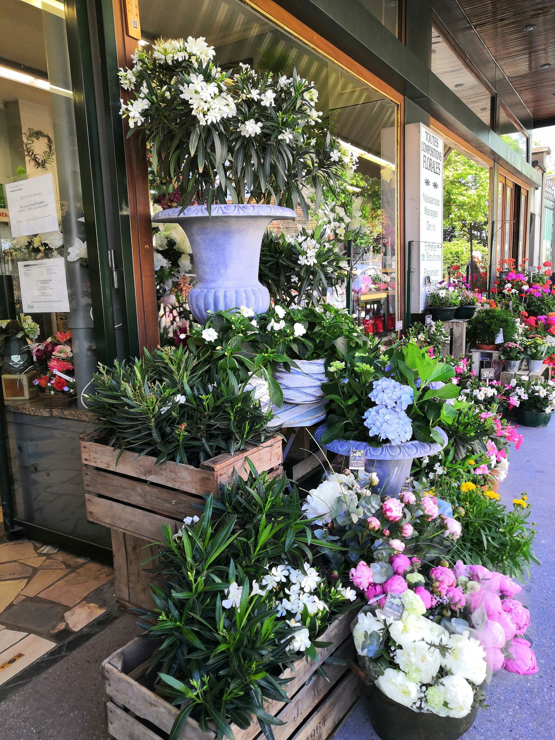 Présentoir de fleuriste avec des fleurs en pot blanches, roses et vertes sur un trottoir.