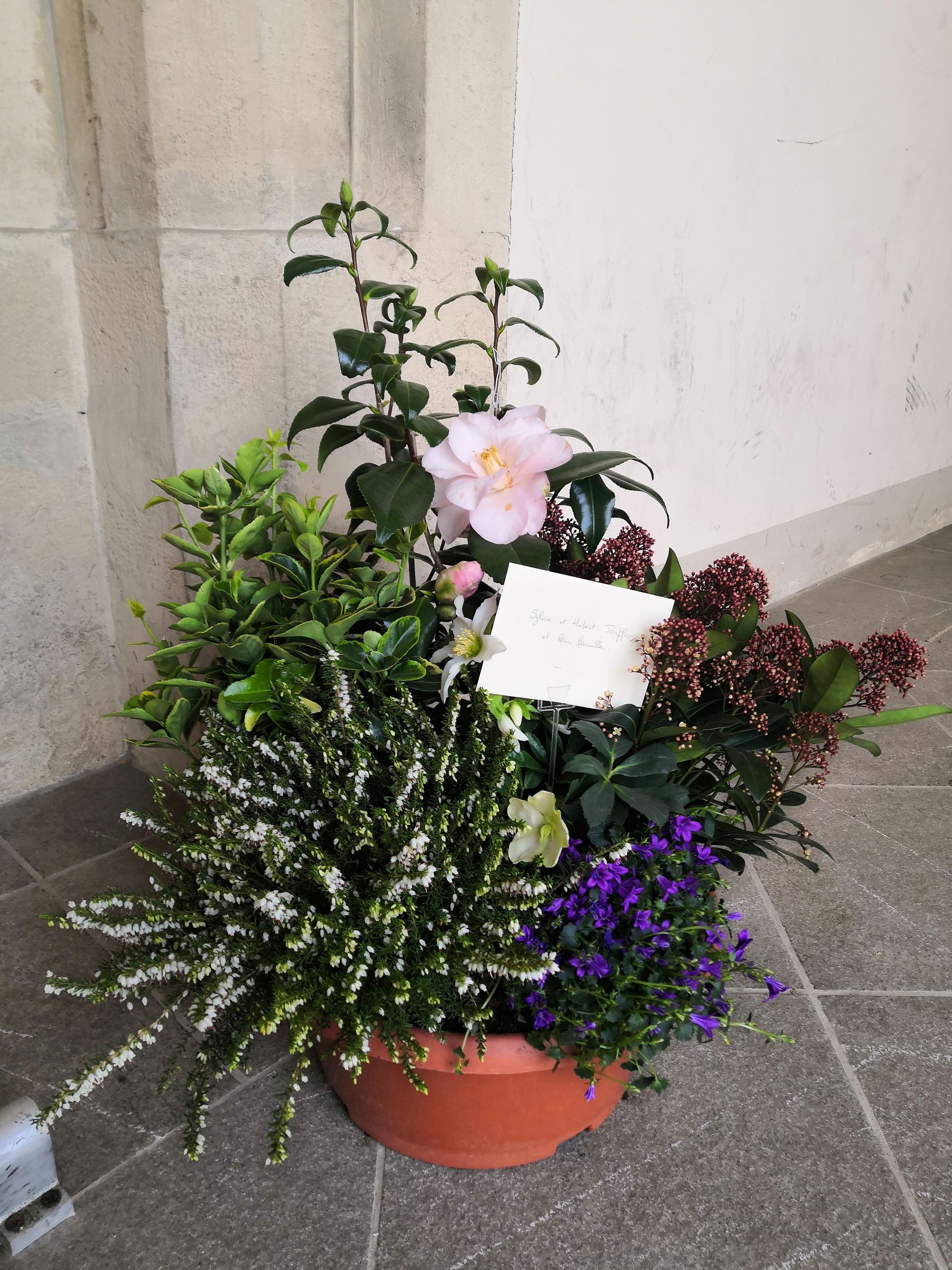 Composition florale en pot mêlant plantes blanches, roses, violettes et vertes, posée sur un sol carrelé à l'intérieur.