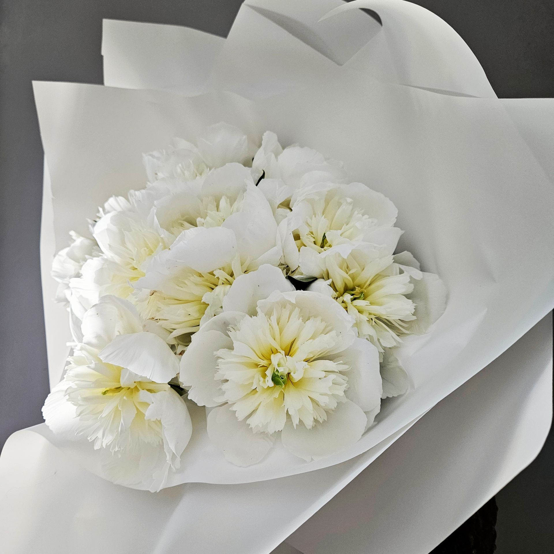 Bouquet de marguerites blanches enveloppé dans du papier blanc sur fond gris