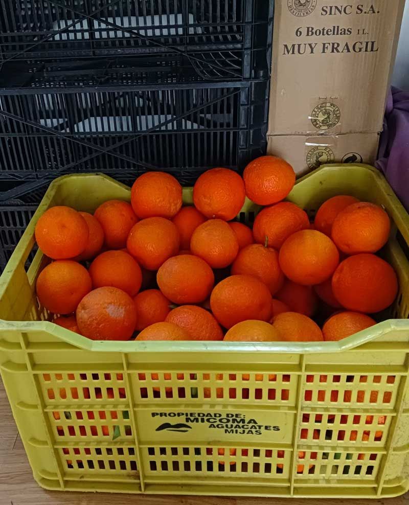 Una caja amarilla llena de naranjas al lado de una caja que dice muy frágil