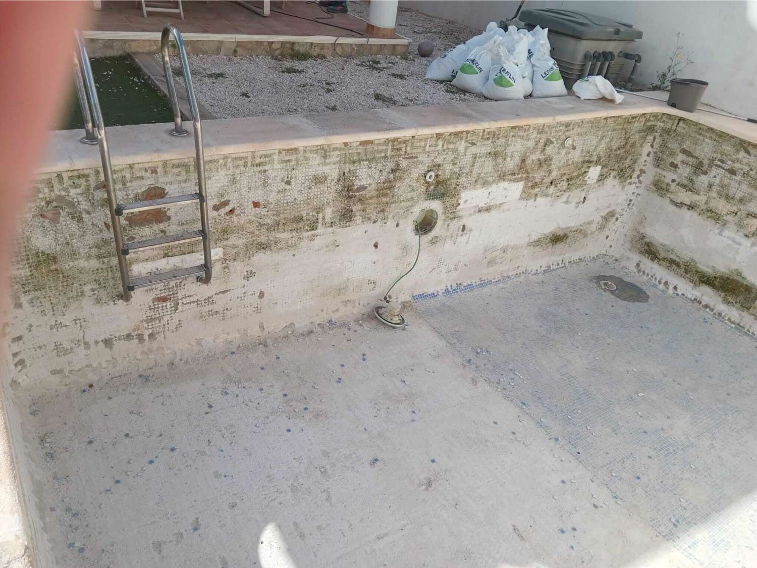 Piscina vacía, superficie de hormigón, escalera, crecimiento visible de algas, entorno al aire libre.