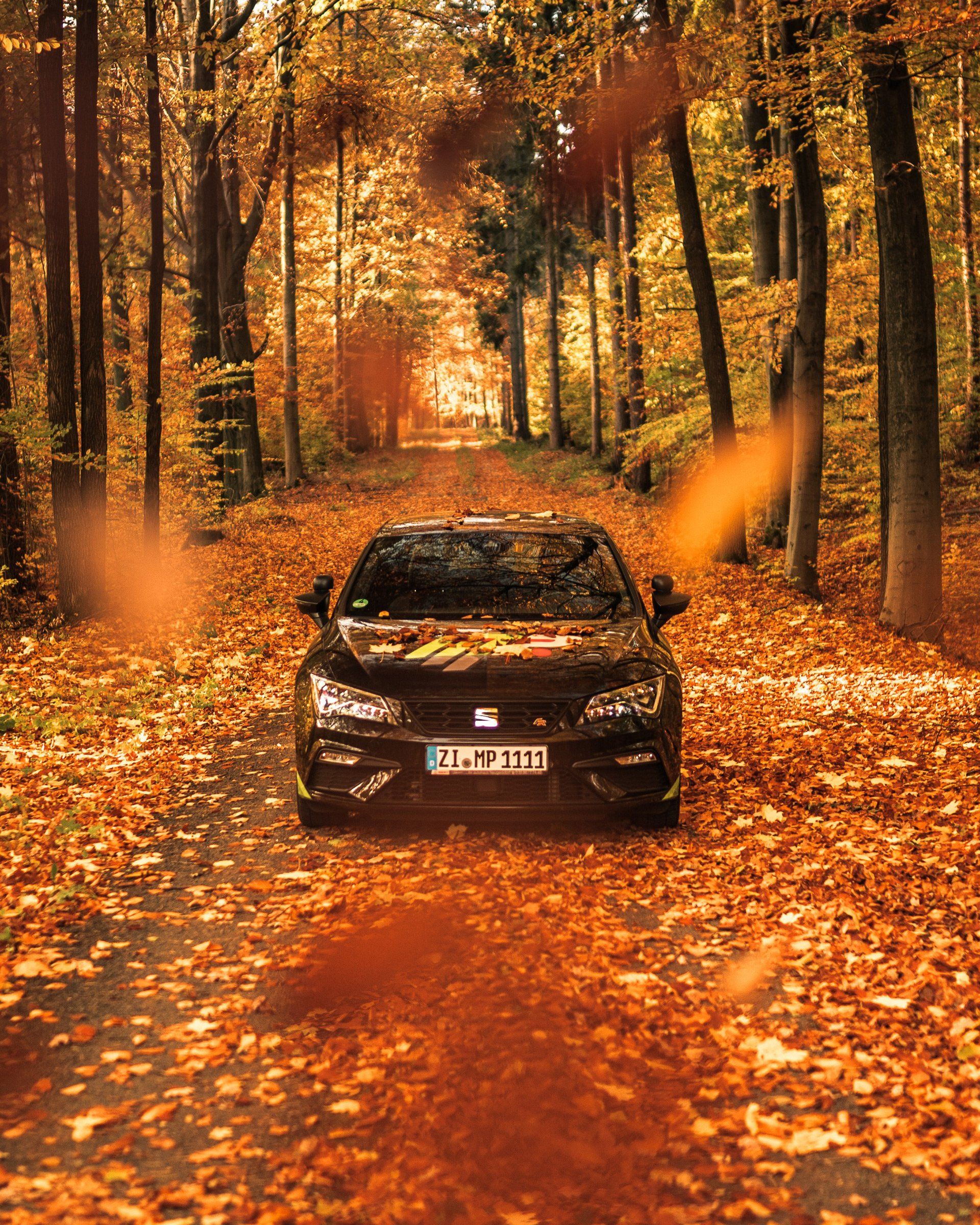 Person hält das Autosteuer