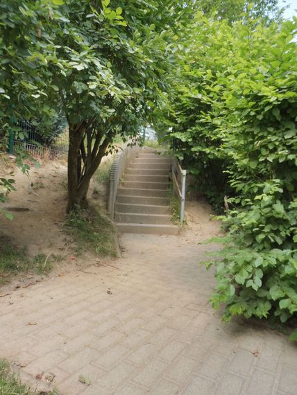 Ein Steinpfad führt zu einer Betontreppe, die von üppig grünen Bäumen und Sträuchern umgeben ist.