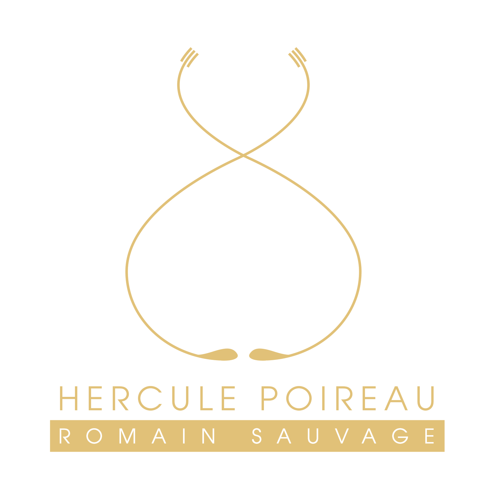 Logo Hercule poireau