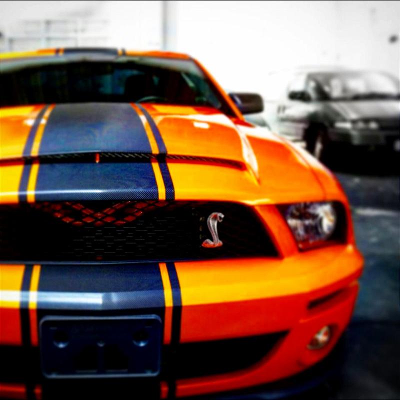 Mustang Cobra Shelby