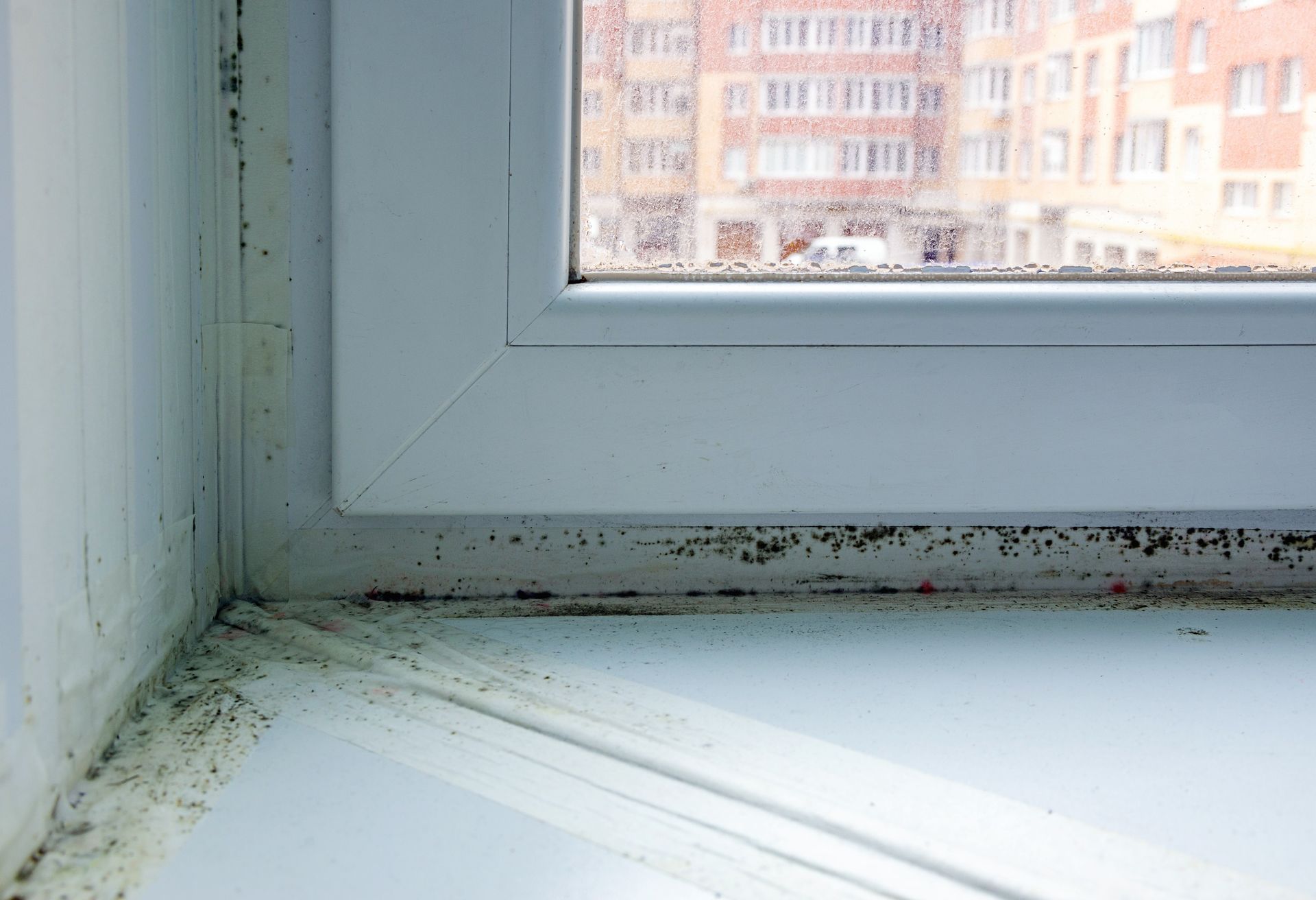 Eine Nahaufnahme einer Fensterbank, auf der Schimmel wächst.