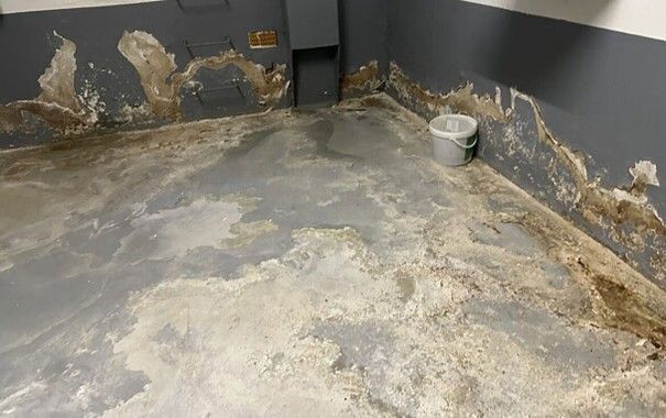 Eine Nahaufnahme einer Fensterbank, auf der Schimmel wächst.