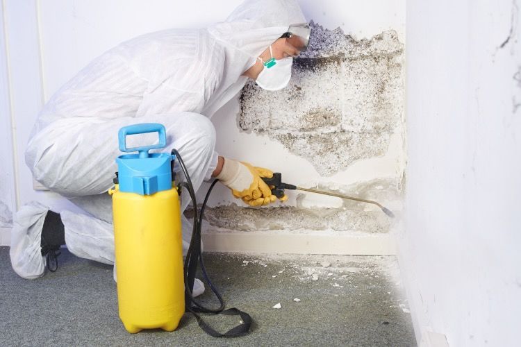 Ein Mitarbeiter mit einer Atemschutzmaske entfernt Schimmel an einer Wand während einer Kellersanierung.