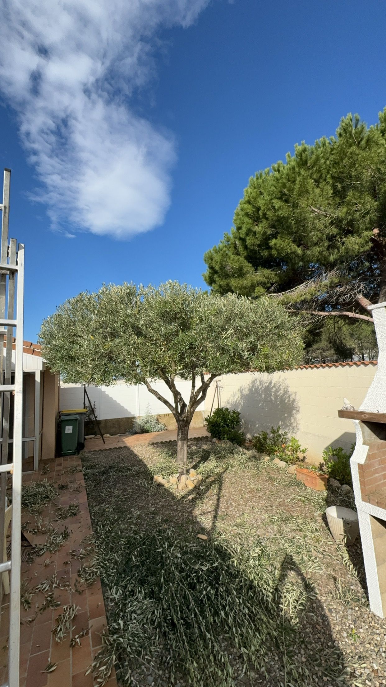 Un appareil photo vintage posé sur des touches de piano, avec le texte « Image format Carré » superposé.