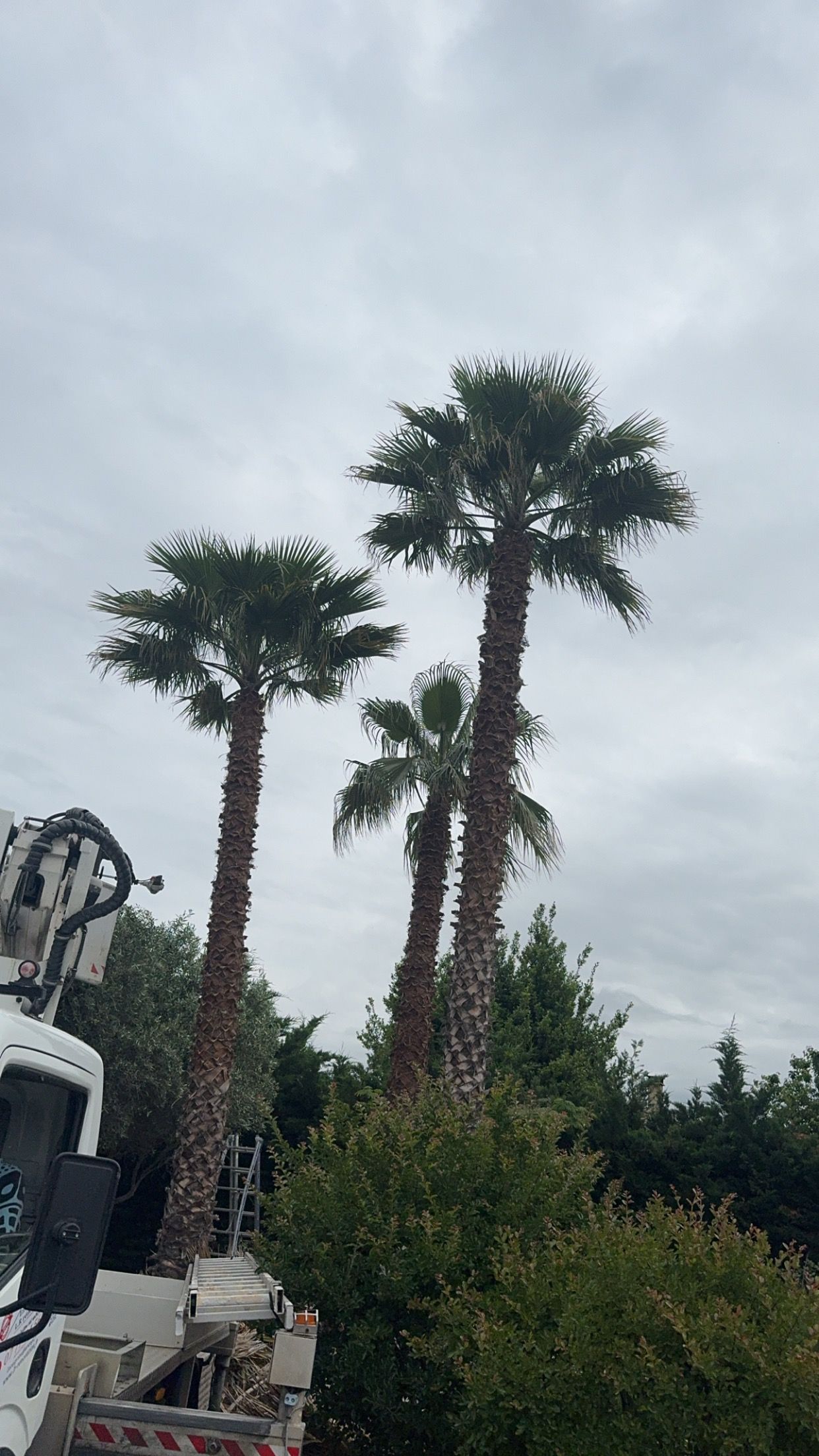 Un appareil photo vintage posé sur des touches de piano, avec le texte « Image format Carré » superposé.