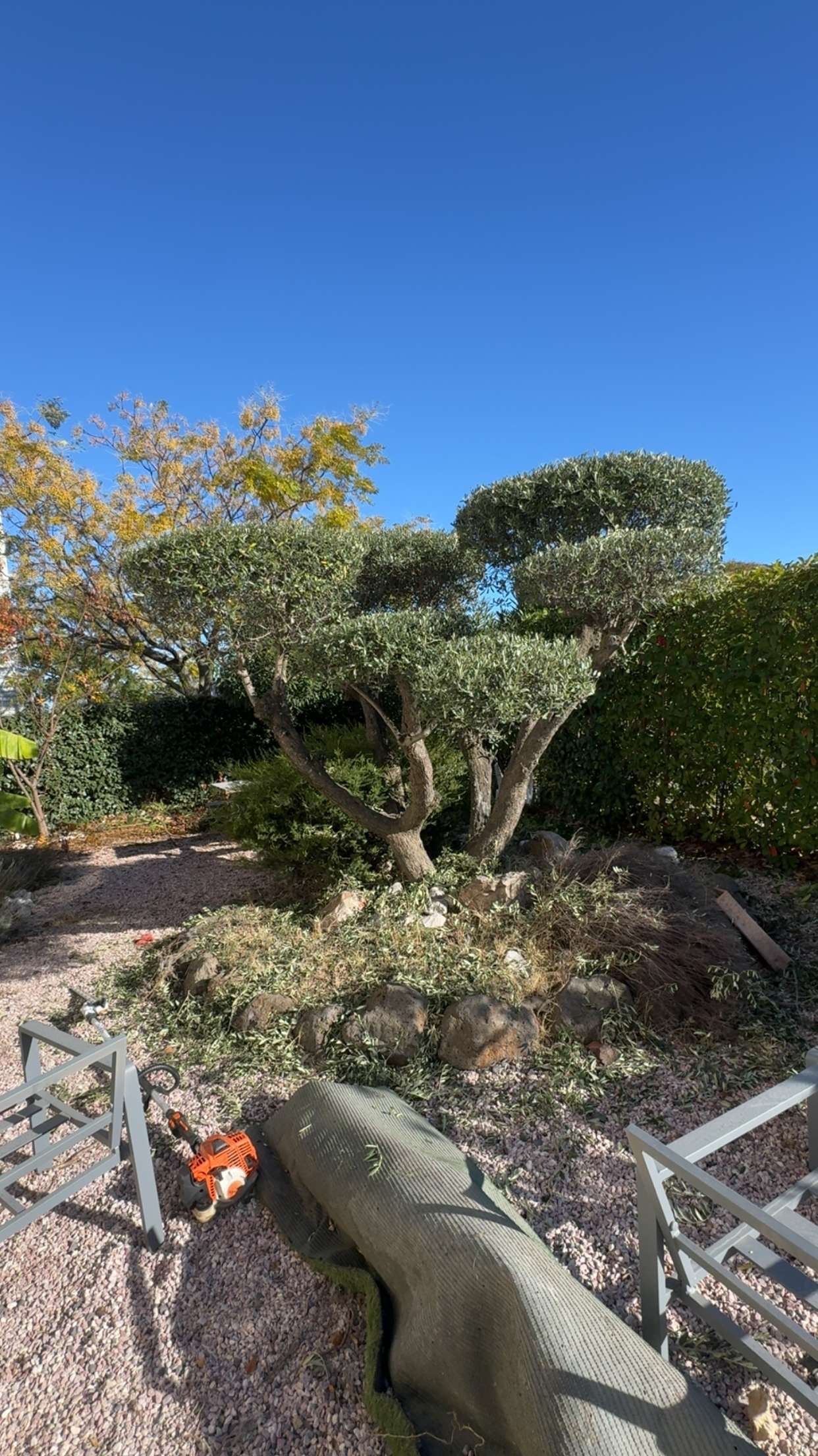 Un appareil photo vintage posé sur des touches de piano, avec le texte « Image format Carré » superposé.