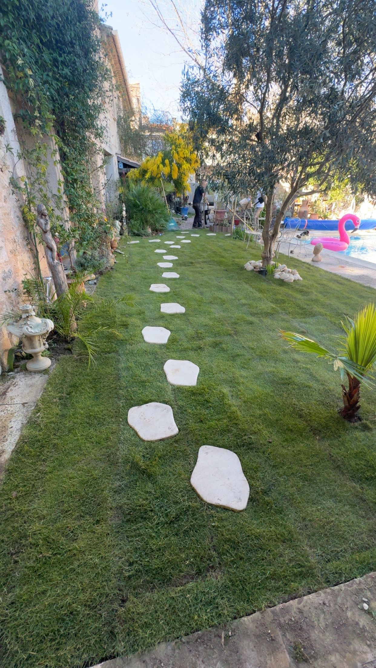 Comparaison avant et après transformation d'un jardin, montrant une pelouse bien tondue transformée en un jardin envahi par la végétation.