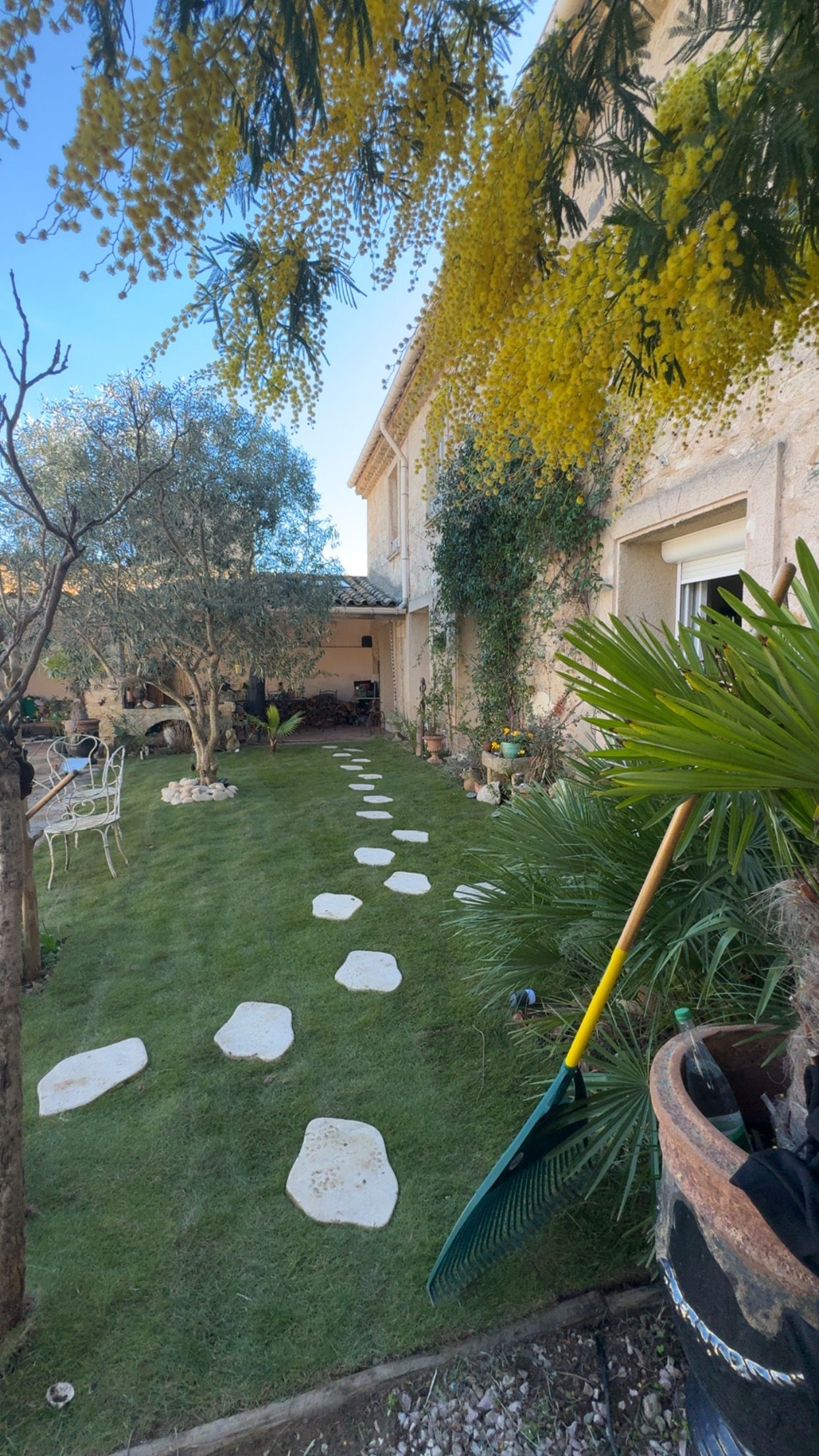 Une personne vêtue d'un pantalon de travail orange et de gants taille une haie verte luxuriante à l'aide d'un taille-haie électrique.