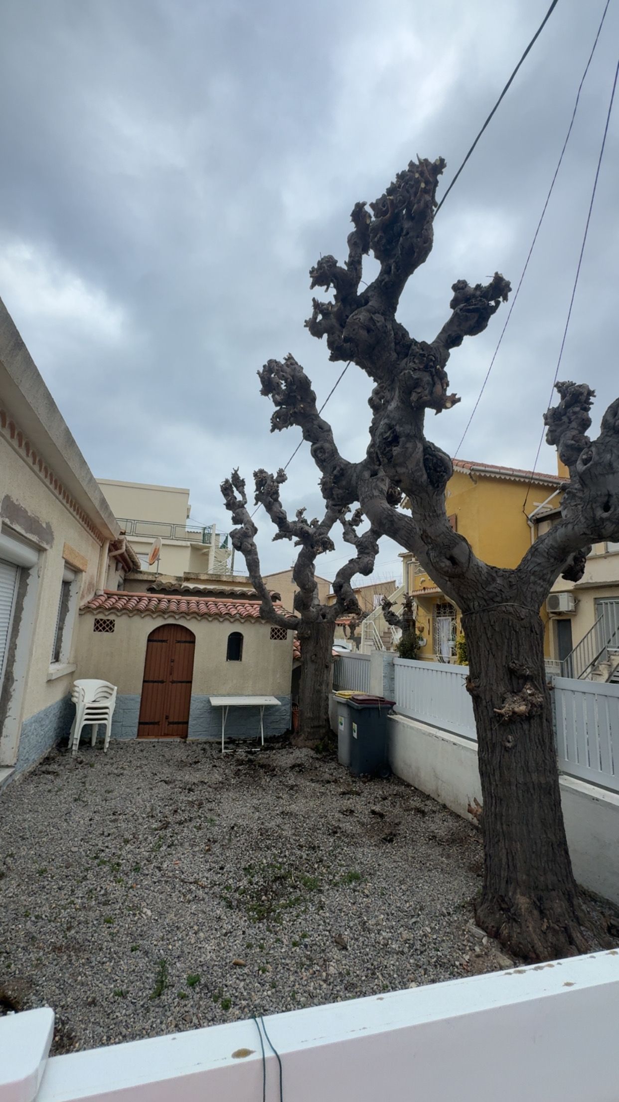 Par une journée ensoleillée, un ouvrier tond une pelouse à côté d'une camionnette blanche et d'une remorque remplie de déchets verts.