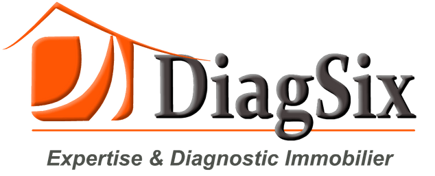 Logo de l'entreprise Diagsix