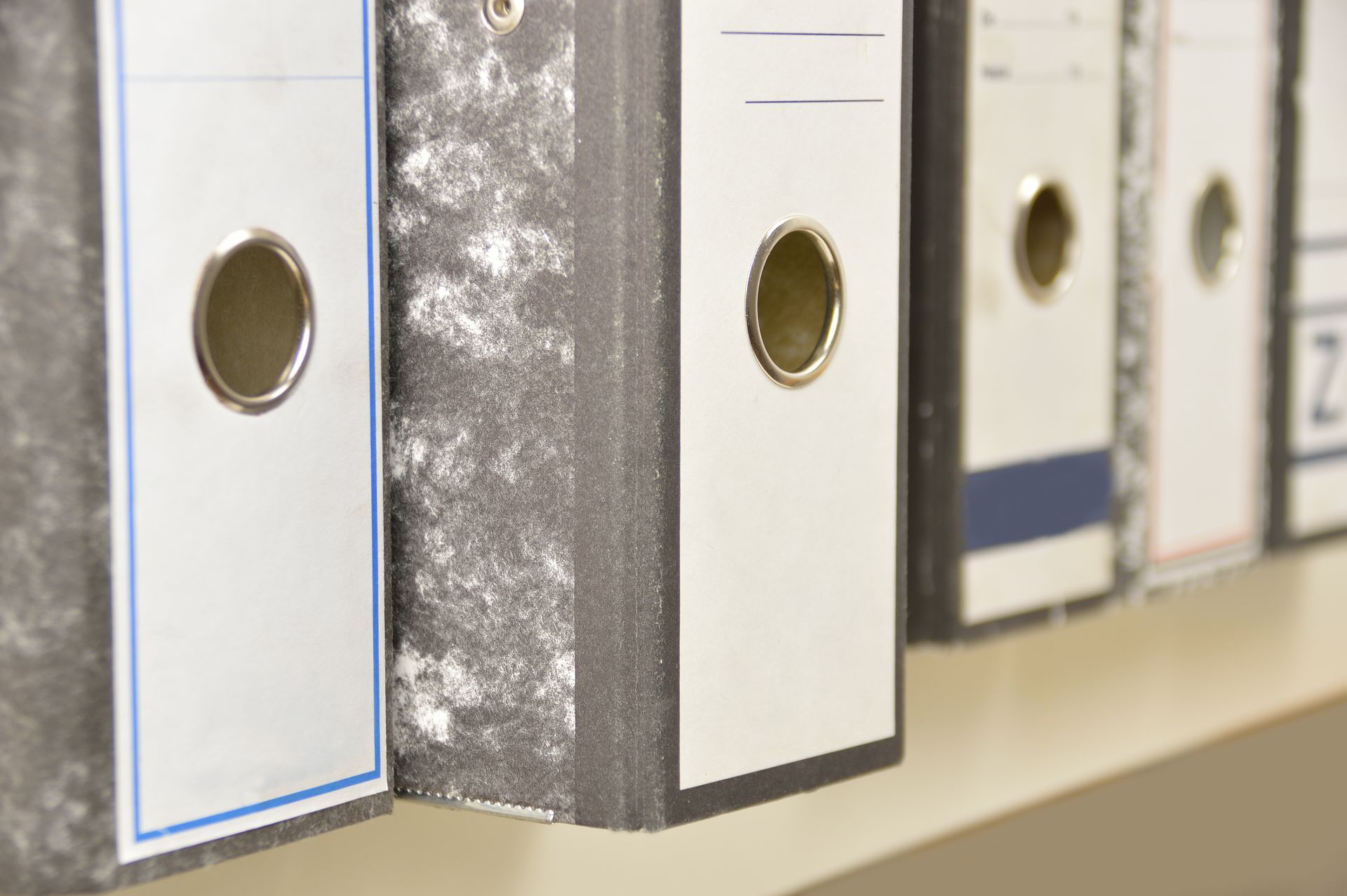 Una fila de carpetas están alineadas en un estante.