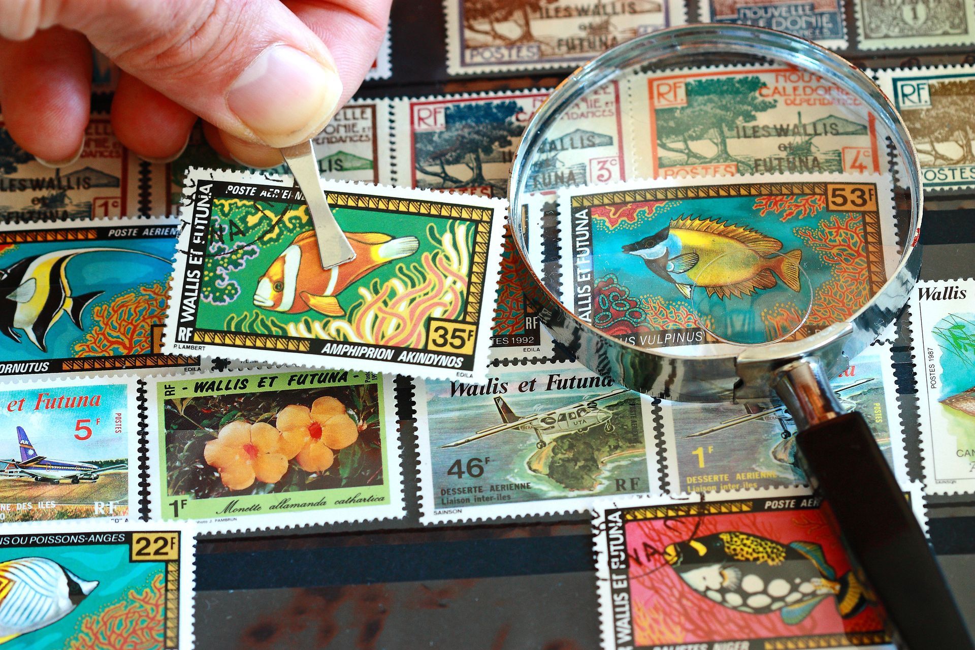 Collection de timbres anciens