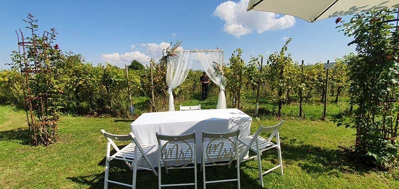 Traubogen Eckig Tisch Husse Klappstuhl Schirm