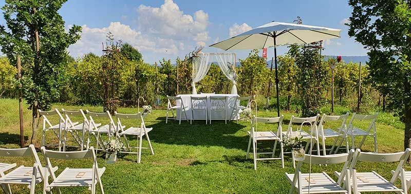 Traubogen Eckig Tisch Husse Klappstuhl Schirm