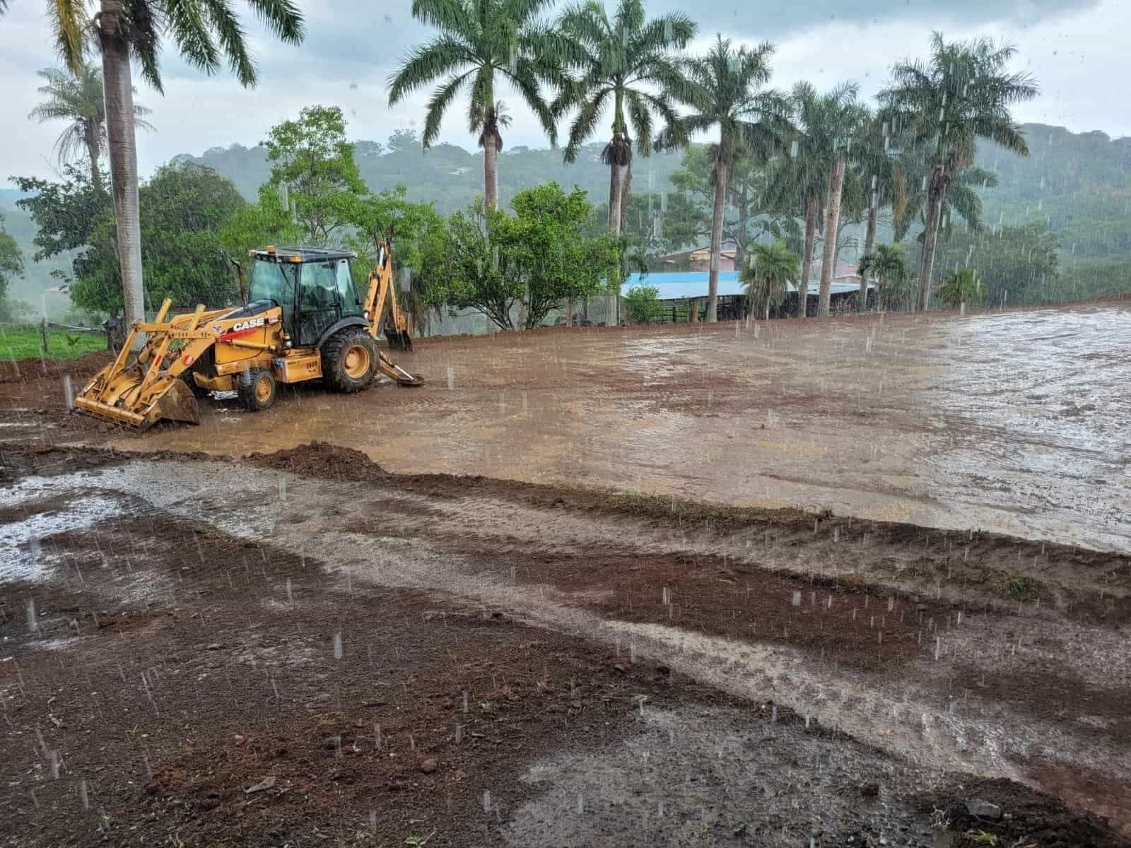 Retroexcavadora sobre terreno fangoso, palmeras al fondo, durante la lluvia.