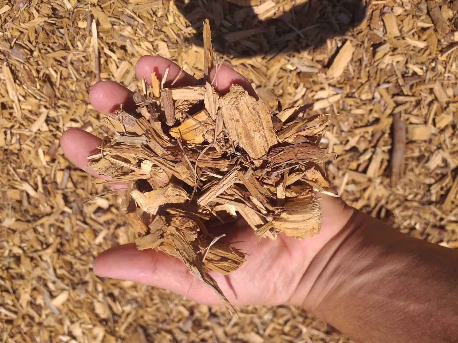 Plataforma elevadora amarilla que sube a un edificio con paredes de cristal; hay una persona en la plataforma.