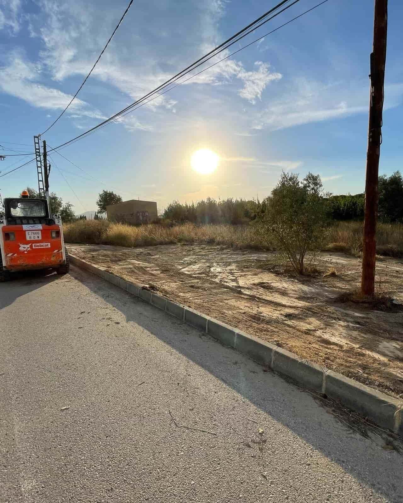 Un lince naranja en una calle al lado de un terreno baldío con la puesta de sol.