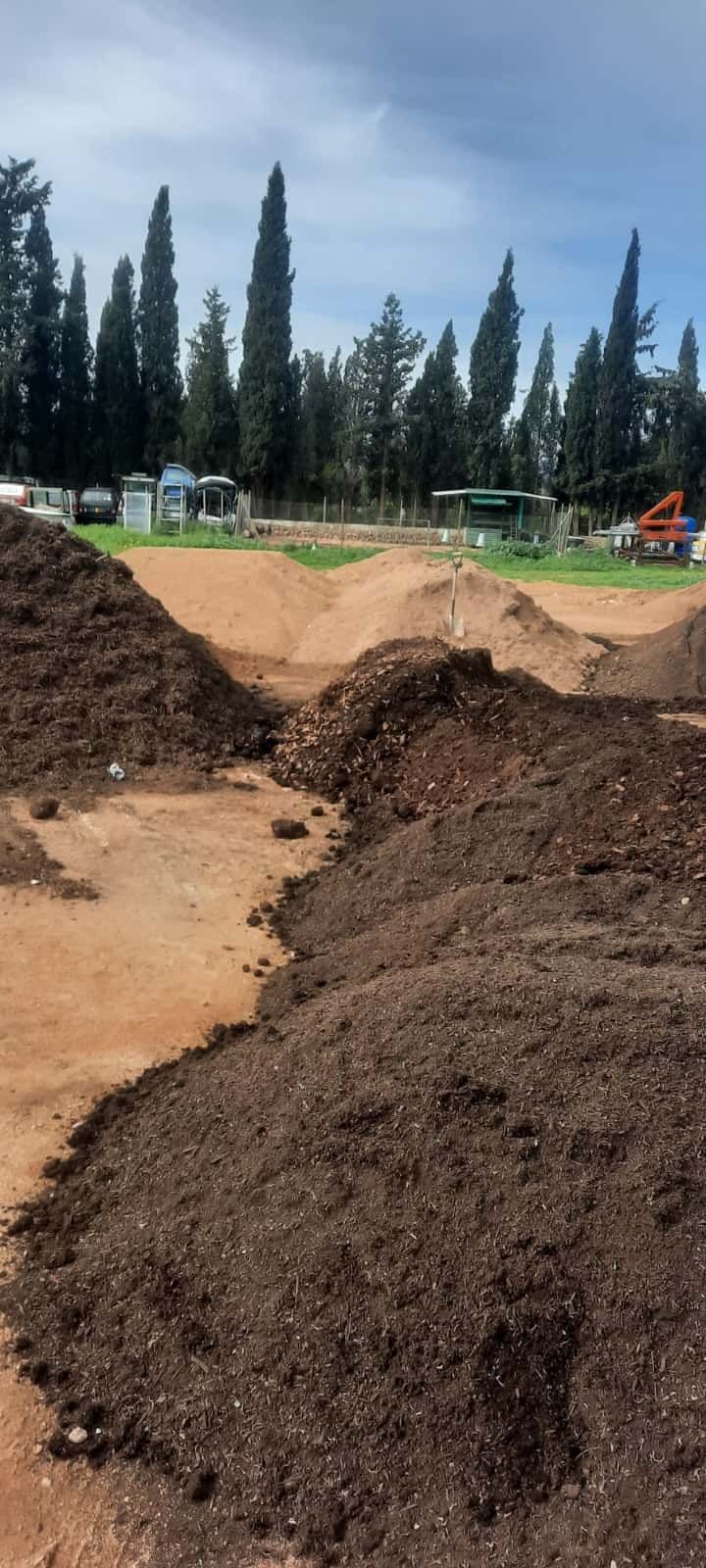 Retroexcavadora JCB amarilla cavando tierra cerca de los árboles.
